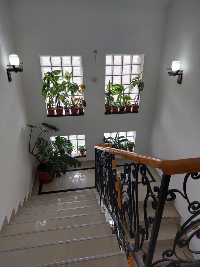 Fulg De Nea Hotel Синая Екстериор снимка